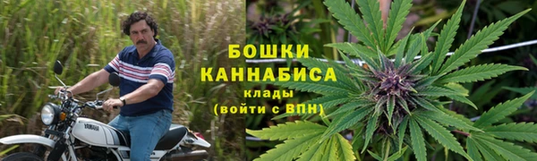 шишки Вяземский